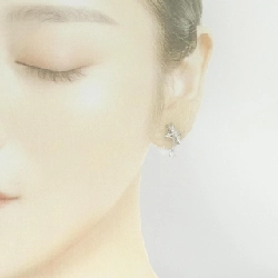 PT900 Bông tai kim cương 0.32CT - Hàng hiệu Chính hãng 875244