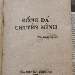 Tiểu thuyết lịch sử của táv giả Hoài Anh: RỒNG ĐÁ CHUYỂN MÌNH (324 trang) 726555