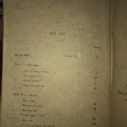 Cuộc tháo chạy tán loạn - Frank Snepp  798922