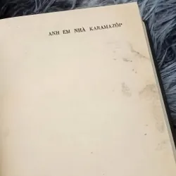 Anh em nhà Karamazov 791299