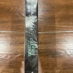 Dương Thụ cà phê…mưa  (k4) 762310