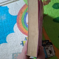 Bắt được rồi, vợ ngốc 977524