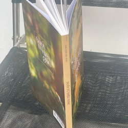 Suối nguồn diệu giác (sách màu) 534268