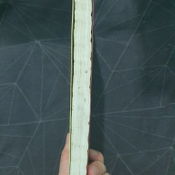 "Chuyện tình Lệ Giang" - Hoa Nam 498940