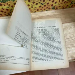 Đổi Mới Nghệ THuật Tiểu Thuyết Phương Tây Hiện Đại - Đặng Anh Đào 1025621