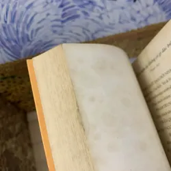 Trời Hôm Ấy Không Có Gì Đặc Biệt - Phan An 758685