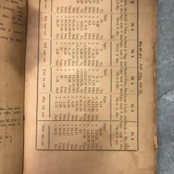 SỐ TỬ VI LẬP THÀNH - NGUYỄN PHÚC AM 1018660