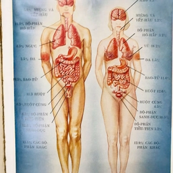 Bảo Vệ Sức Khoẻ - BS Swartout do Tổng vụ Kế hoạch in đầu tiên 1962 (nên có, cực hiếm) 533984
