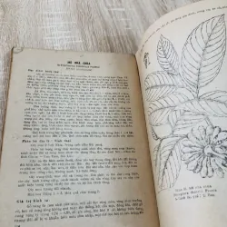 CÂY GỖ RỪNG VIỆT NAM ( tập 2,4,5,6) 956969