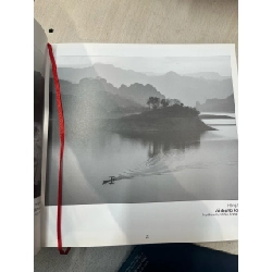 hải âu 2018 752032