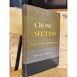 CROSS SECTION : ESSAYS ON CONTEMPORARY - MARCUS AND SALERNO