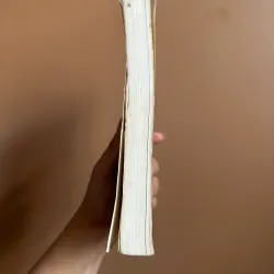 Nguyễn Trường Tộ với vấn đề canh tân đất nước 733546