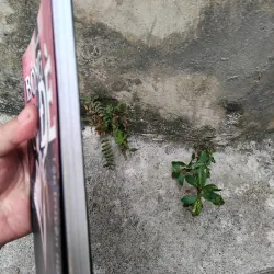 Bóng đè tập truyện của Đỗ Hoàng Diệu  1029199