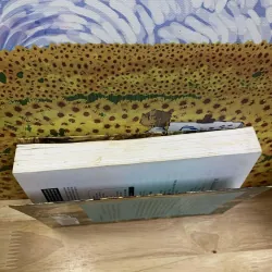 Bí Ẩn Tông Đồ Thứ Mười Ba - Míchel Benoit 715848