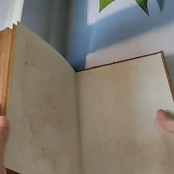 Người Thay Thế Chưa Tới (1986) - Nikolai Kambulev 607724