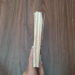 Những vụ mất tích bí ẩn của loài người 592978