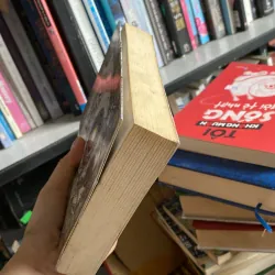 Yêu Nữ: Bí mật của Nicholas Flamel bất tử 755125