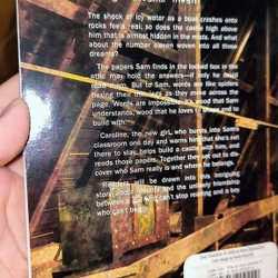 CHAPTER BOOK: ELEVEN 493017