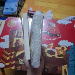 Nguồn gốc nhà Tây Sơn- Nguyễn Duy Chính 747741