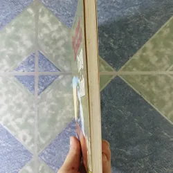 Giai thoại và sấm ký Trạng Trình - Phạm Đan Quế 756028