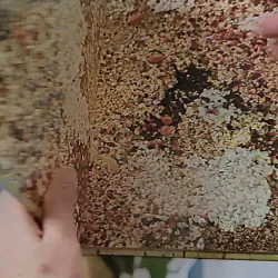 [Tặng nẹp góc] Truyện thiếu nhi Hàn Quốc: Moyamo Anu 56 -  모야모 아누와: 카멜레온에게 혼쭐난 아난시 732060