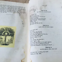 VLA - ĐI - MIA BRA - GHIN Ở XỨ CỎ RẬN 975807