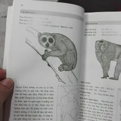 Giới thiệu một số loài thú của Đông Dương và Thái Lan 975216