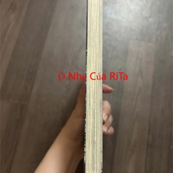 [Đam Mỹ_Boylove] Truyện tranh - CANIS - DEAR MR.RAIN (Bản đặc biệt) 474887
