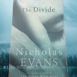 Sách ngoại văn tiếng Anh - The Divide 95241