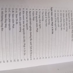 Nghi thức Trì Chú Đại Bi, Chú Dược Sư & Niệm Phật ADiĐà+Phật Thuyết Đại Thừa Vô Lượng Thọ 158875