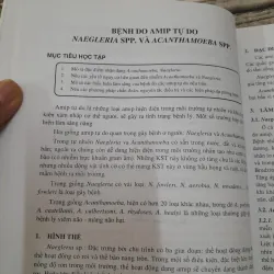 KÝ SINH TRÙNG Y HỌC. Bậc ĐH. ThS Bác sỹ Nhữ Thị Hoa. 787996