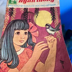 NGÀN THÔNG - VI VI 995495