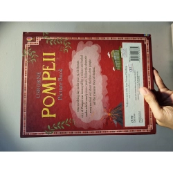 POMPEII : Picture Book (Usborne) 222627