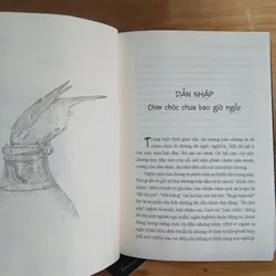 Chim Chóc Chưa Bao Giờ Ngốc - Jennifer Ackerman 739569