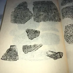 Khảo cổ học tiền sử và sơ sử Tp HCM  738099