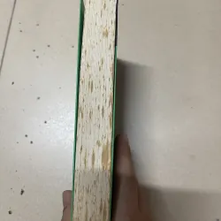 Phải trái đúng sai - Michael Sandel (c47) 1008311