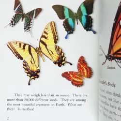 Butterflies! (Leveled Readers) 14224