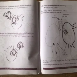 Cùng khám phá tiếng anh - Môi trường Sống - 3A 1004065