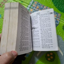 Từ điển Tiếng Việt 785168