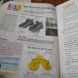 KHOA HỌC KHÁM PHÁ số 8/2025 929666