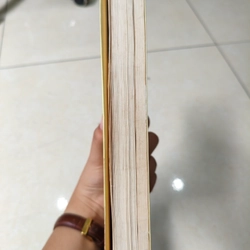 Người đưa diều 🌱 462443
