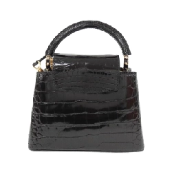 Túi xách Louis Vuitton Exotic Leather Capucines MINI P01131 618109
