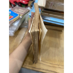 Để viết được bài tập làm văn hay lớp 9 - Trần Đình Sử và Nguyễn Đăng Điệp 528734