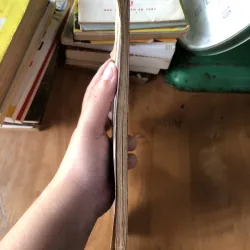 Một đôi lời-Nguyễn Khắc Viện 973861