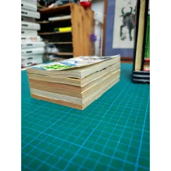 Truyện Tranh Sân Cỏ Ước Mơ (2004)