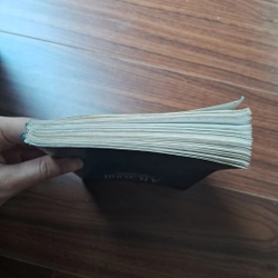 Những năm tháng ảo mộng 505799