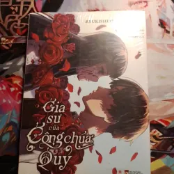 LIGHT NOVEL GIA SƯ CÔNG CHÚA QUỶ