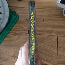 Kỹ thuật nuôi trồng cấy lan
 701584