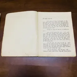 Tình bạn (truyện Phật giáo)  719705