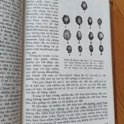 DI TRUYỀN HỌC VÀ CHỌN GIỐNG  785780